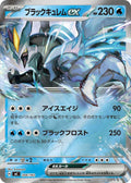 Battle Collection Deck 084 Holo - Black Kyurem ex & Kyurem ex